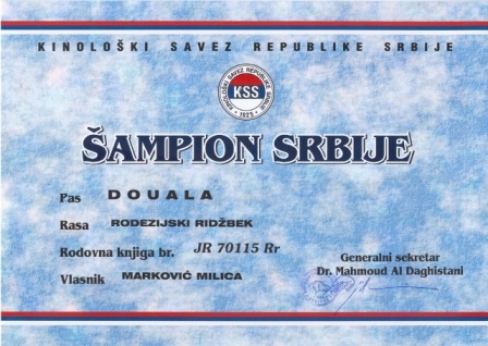 Rodezijski ridžbek Douala Gana Šampion Srbije