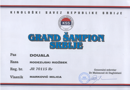 Rodezijski ridžbek Douala Gana Grand Šampion Srbije