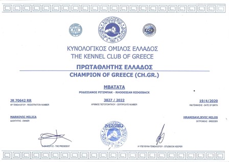 Rodezijski ridžbek Int CH, Multi CH, Grand CH, JCH Mbatata Zaira - Champion of Greece