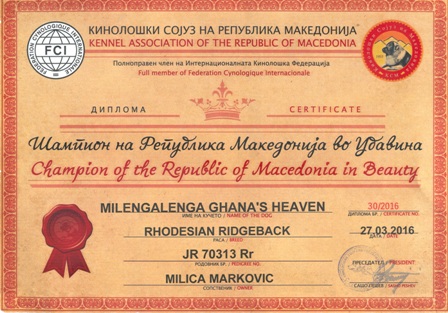 Milengalenga Ghana's Heaven "Saba" Šampion Makedonije