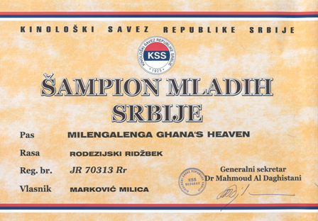 Rodezijski ridžbek Milengalenga Ghana's Heaven Saba Juniorski Šampion Srbije