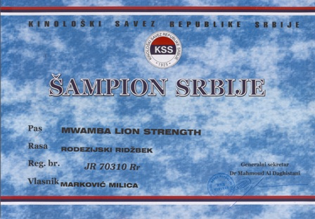 Rodezijski ridžbek CH, JCH Mwamba Lion Strength Shumba, mužijak za parenje, Beograd, Srbija