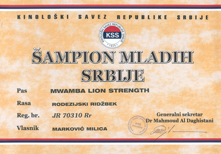 Rodezijski ridžbek JCH Mwamba Lion Strength "Shumba", Juniorski Šampion Srbije