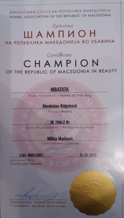 Rodezijski ridžbek Mbatata Zaira (Int CH, Multi CH Mwamba Lion Strength Shumba x CH Lobengula Maisha Ifama) - Šampion Makedonije